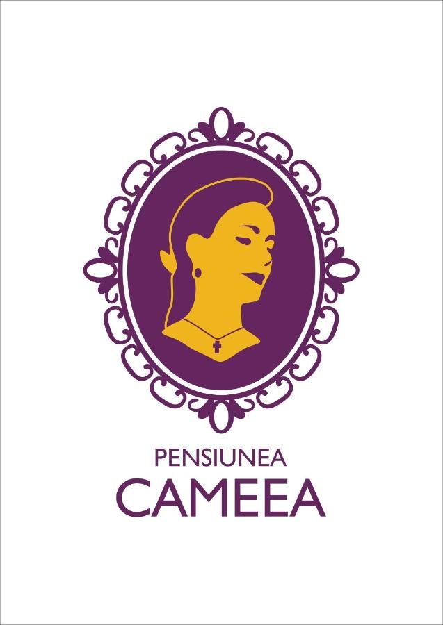 Гостевой дом Pensiunea Cameea Буштени-35