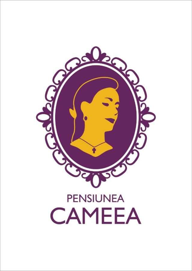 Гостевой дом Pensiunea Cameea Буштени-34